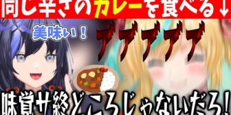 【にじさんじ】先斗寧、味覚サ終につき辛さの違いがわからない。立伝都々は限界突破