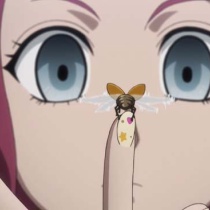 Hunter Hunter Ljanime