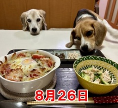 既に書いてた話とチビラばいばい。