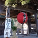 鎌倉　長谷寺（２）ソシンロウバイ、ロウバイなど