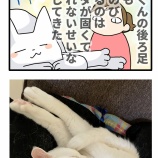 後ろ足伸びがちボーイ