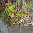 毎日をあそぼう！