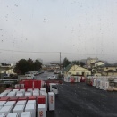 勝ったど～～～