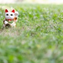 資産がエグイ。