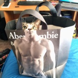 引き締まったセクシーな身体を手に入れた20匹の猫たち【画像】