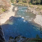つり吉オヤジの日高川龍神鮎・あまご情報