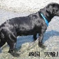 落ち着かない