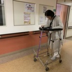 薪ストーブ・農業・トラベルトレーラー奮闘記