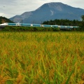 SparkLing  Dreams  Shinkansen：9/6②
