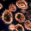 コロナ"第2波"到来か　北海道で新たに18人の感染確認