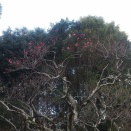 解決策は、対話