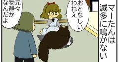 【猫との暮らし】犬じゃないので無理ですよ