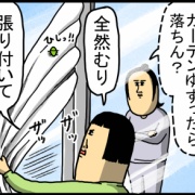 うちに来たカメムシ、布団を得る