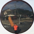 のぼりウォーキング