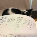 『2018年2月を振り返って ー解決すべき問題を見せられた1ヵ月ー』の画像