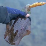 Even if it rains　―ジンの釣りブログ―