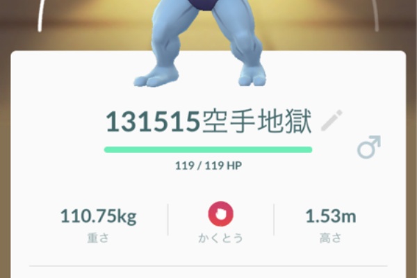 ポケモンgo攻略まとめもり 17