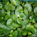 アクアプラザ都屋