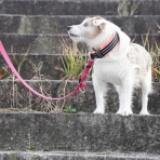 華・あず＆レン