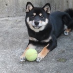 churahamaのブログ