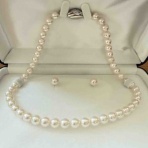 肉食系ベジタリアンのつぶやき