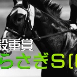 『しらさぎＳ(G3)【掟破りの金になる話】』の画像