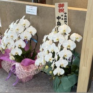 らーめん新山＠指扇・上尾