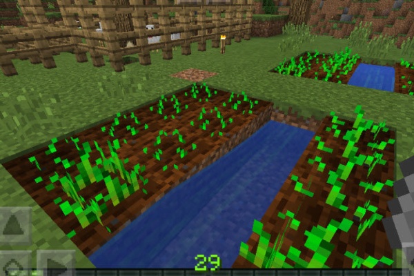 マインクラフトｐｅ超初心者のブログ 小麦