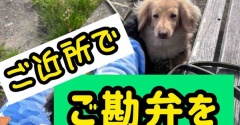 お出かけしないアタシたち。