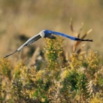 やっちゃんの写真ライフ