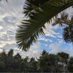 DIVE HOUSE MISS TAHITI ツアーログ＆コース開催報告！　