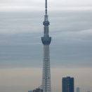 東京スカイツリーの着雪防止ネット設置状況（2025年11月13日）