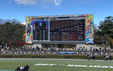 『日経新春杯２０２６　予想見解』の画像