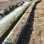 自然農菜園「はたけや」の作業日誌