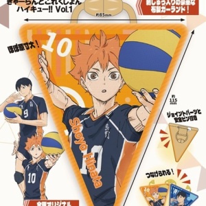ハイキュー!! 10thクロニクル グッズ付き同梱版 (愛蔵版コミックス