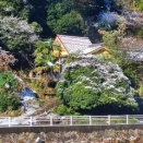 あけましておめでとうございます。