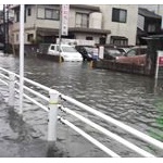 【GIF動画】洪水でとんでもないものが流れてきたｗｗｗｗｗｗｗ