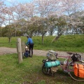 琵琶湖一周　キャンピングの旅・旧街道で米原へ