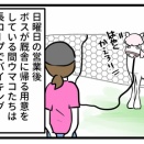 それぞれの感情表現
