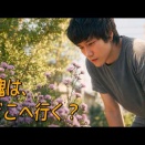 「夜桜映画」