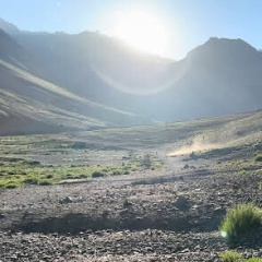 2024ǯ٥ǥĥۡॹƥץα