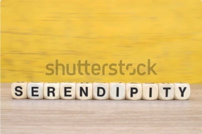 スクリーンショット 2026-01-27 154617