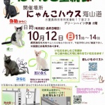 四日市にゃんこレスキュー　愛の手　里親募集・里親会情報