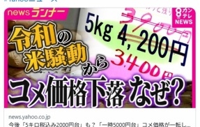 今後「5キロ税込み2000円台」も？「一時5000円台」コメ価格が一転して下落