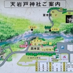 努力の上に花は咲くⅡ