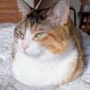 トポハナ「のんびり宣言」と最近のふたり