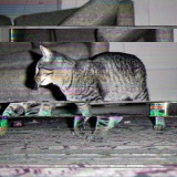なんで現実世界ってバグないの？