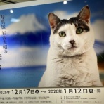 富山のミカエル日記