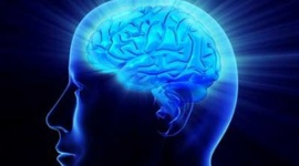 【話題】若者に増える「デジタル認知症」の危険性
