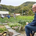ポポーを植えました